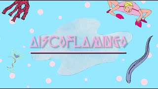 DISCOFLAMINGO teaser