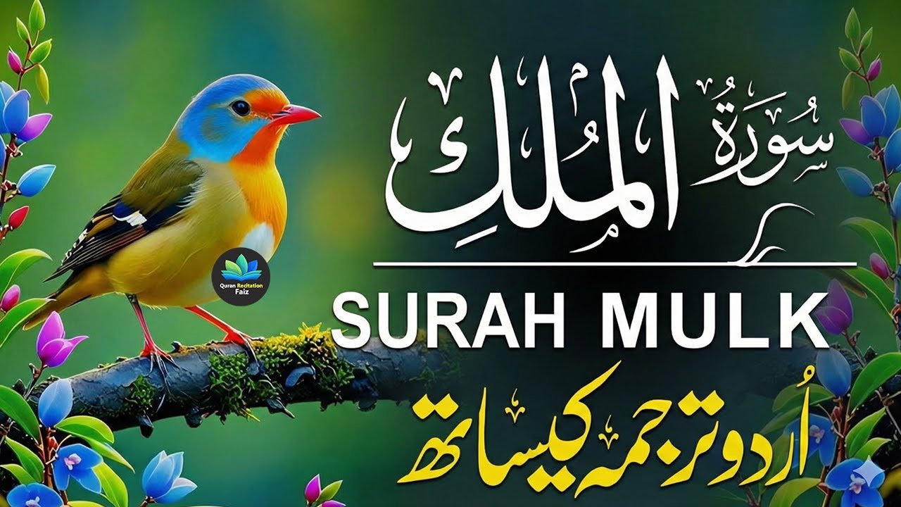 Surah Al-Mulk سورة الملك | Heart-Calming Recitation for Protection, Peace & Night |ْ Qari Mansoor