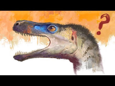 A nova boca dos Dinossauros Terópodes? - Rictus e Exoparia