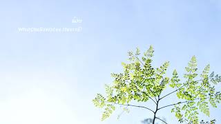น้อย : WhatChaRaWaLee (วัชราวลี)
