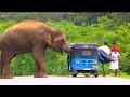 An elephant attack on a van by an angry wild elephant