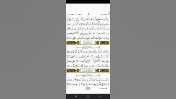 سورة البينة بصوت الشيخ مصطفى أحمد سيد