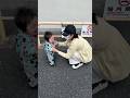カルくん靴で歩いてみた!!#サンバ夫婦 #あいりちゃんねる #子供服 #ファーストシューズ