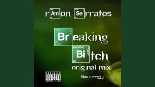 Breaking Bitch (Original Mix)