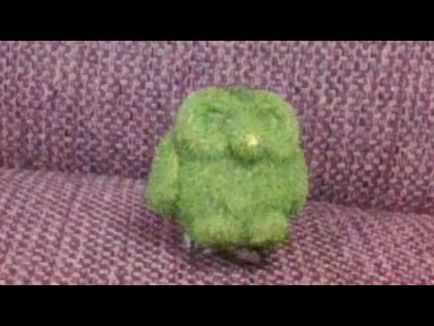grass owl for 1 hour