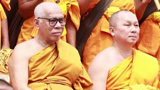 Let Your Logo Speak Blue For Confidence, Green For Calm, Yellow For Joy