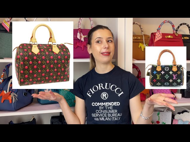 15 BEST Louis Vuitton Speedy Limited Edition Bags! 2001-2023 