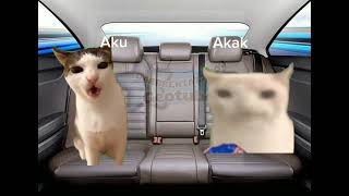 Meme Kucing Part1