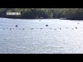 CKC 2018 - SWK1 500m FINAL A - Sprint NTT1 - EÉN1 Vitesse - Gainesville, GA