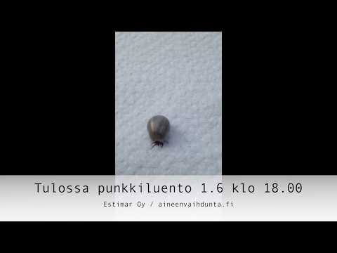 Video: Vinkkejä suojautumiseen kadulla