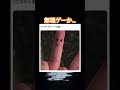 恋人を作るところからだ… #shorts#tiktok#Twitter#おもしろ#お笑い#おすすめ#2026 #面白い#おもしろ動画#爆笑#バズれ