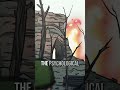 The Tet Offensive | Animated Short