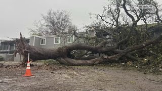 Massive oak tree falls at Sacramento apartment complex during storm