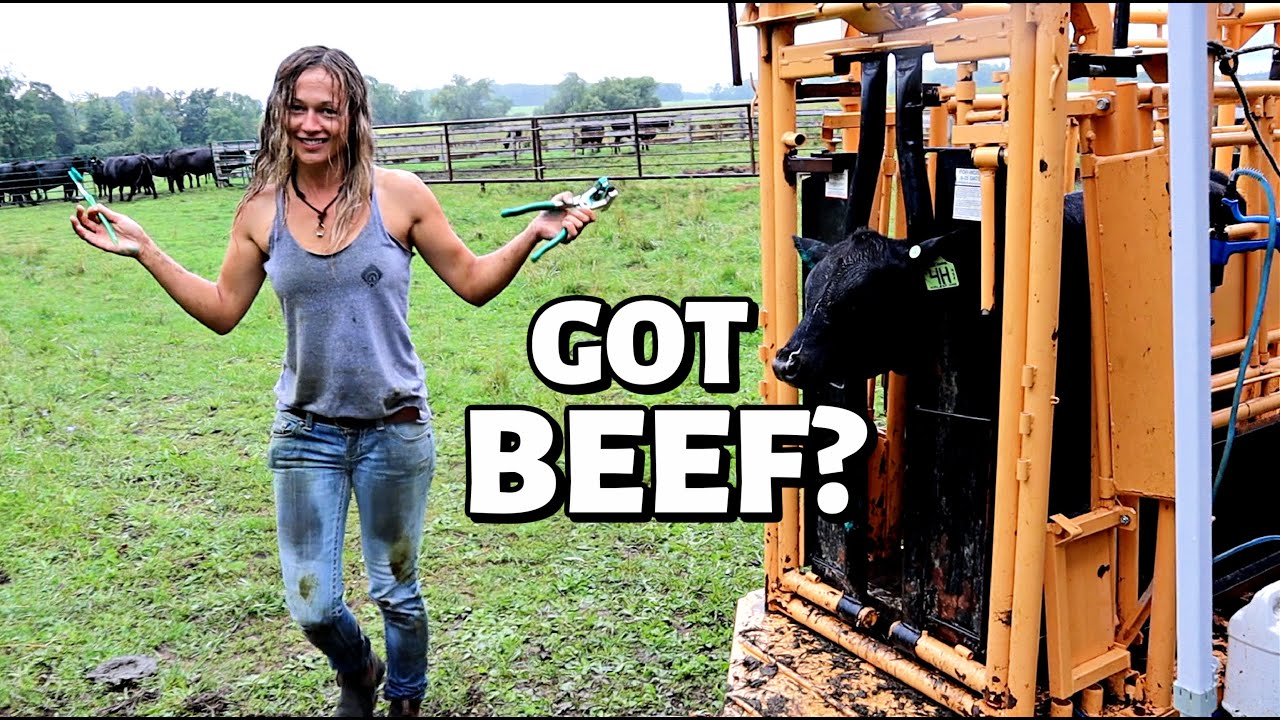 BELINDA NEEDS HELP!: Vlog 343