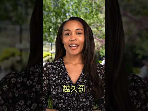 聽 AI 處理簽證？台灣旅客越南出境遭罰 200 萬Following AI Advice Backfires: Taiwanese Traveler Fined at Vietnam Border
