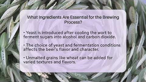 What Ingredients Are Essential for the Brewing Process? | The Pint Guy