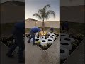 #DIYGarden #BackyardMakeover #LandscapingIdeas #PalmTree #GardenDesign #OutdoorDecor #transformation