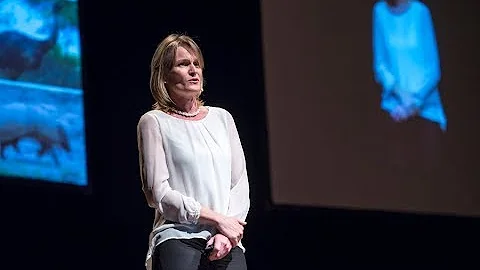Gramo / Andrea Weiler / Convivencia de los grandes...
