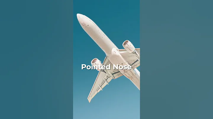 How to Tell the Difference Between Boeing & Airbus?