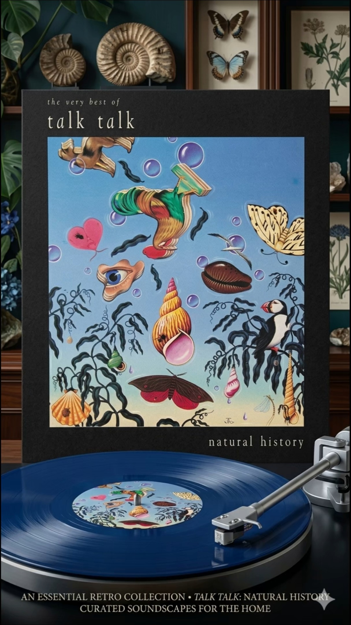 Talk Talk - Natural History (The Very Best Of) 💿 - YouTube