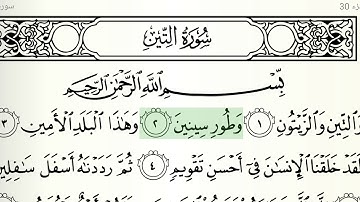 سورة التين الشيخ هاني الرفاعي