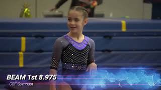 Level 5 1st All Around Floor Bars Vault Beam USAG