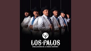 Video thumbnail of "Grupo Los Palos - Mis Cositas"