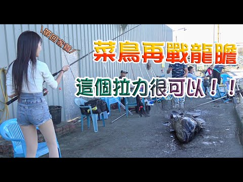 【釣魚女神系】菜鳥再戰龍膽 這個拉力很可以!! 台湾でのゲンチアングルーパーフィッシング Gentian Grouper Fishing in Taiwan 대만의 용담 그루퍼 낚시