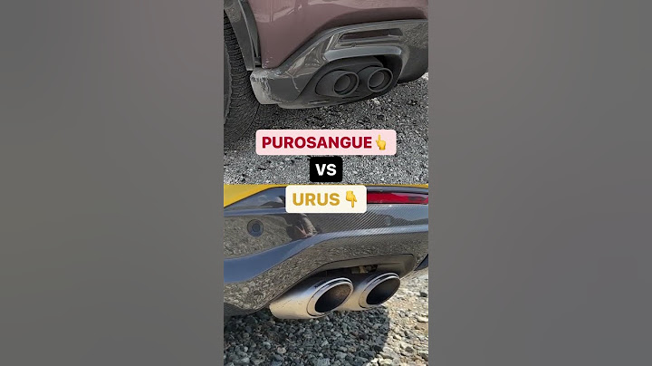 SOUNDCHECK FERRARI PUROSANGUE VS LAMBORGHINI URUS