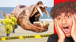 Craziest Things FOUND In NATURE!!