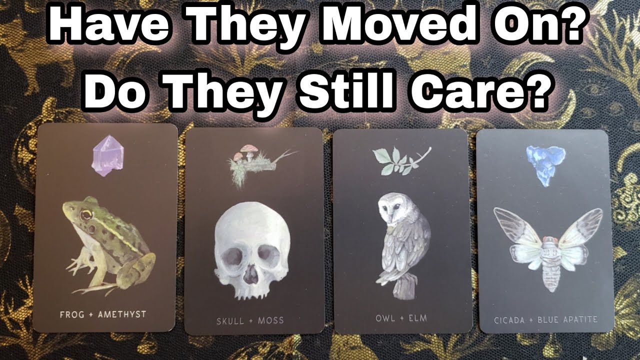 😶 Have They Moved On? Do They Still Care? 💗💋 Pick A Card Love Reading