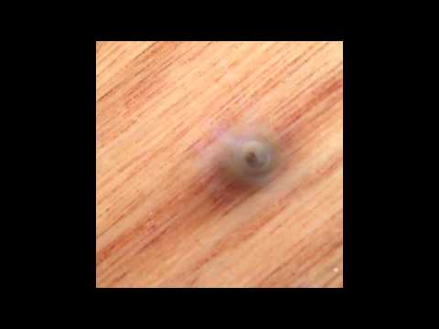 Supa-Fly Breakdancing