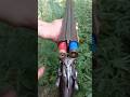 Best 12 Gauge Ammo for Double Barrel Shotguns | Double Barrel Shotgun Hunting Review | Hunting