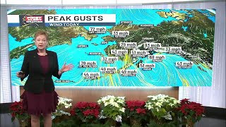Deep cold and deep snow covering AK