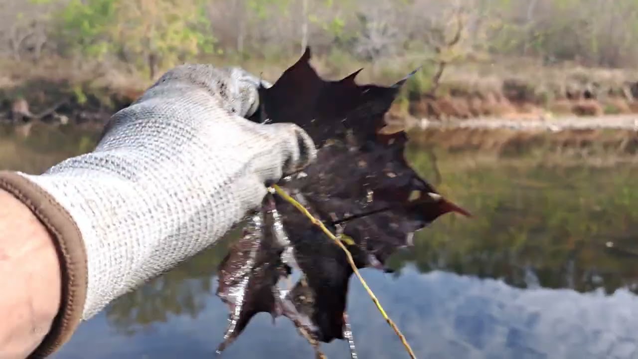 Magnet Fishing in a decent spot 
