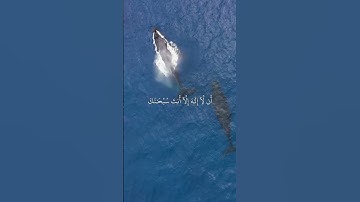( وَذَا ٱلنُّونِ إِذ ذَّهَبَ مُغَٰضِبٗا ) سورة الانبياء - إسلام صبحي #قرآن 💙.