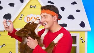 We Build Secret Rooms for Pets by Multi DO Smile