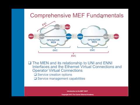 Everything You've Wanted to Know about the MEF CECP Certification