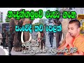 nedungamuwe raja gana kaviyen/ නැදුන්ගමුවේ  රාජා  ගැන කවියෙන්