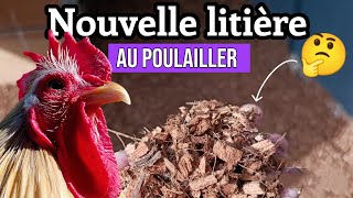 LITIÈRE POUR POULAILLER ultra absorbante et réduit les odeurs !!!