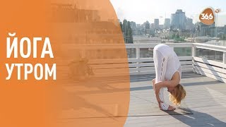 ЙОГА: Утренний комплекс упражнений на 30 минут. Territory of yoga со Светланой Масленниковой ЙОГА: Утренний комплекс упражнений на 30 минут. Territory of yoga со Светланой Масленниковой