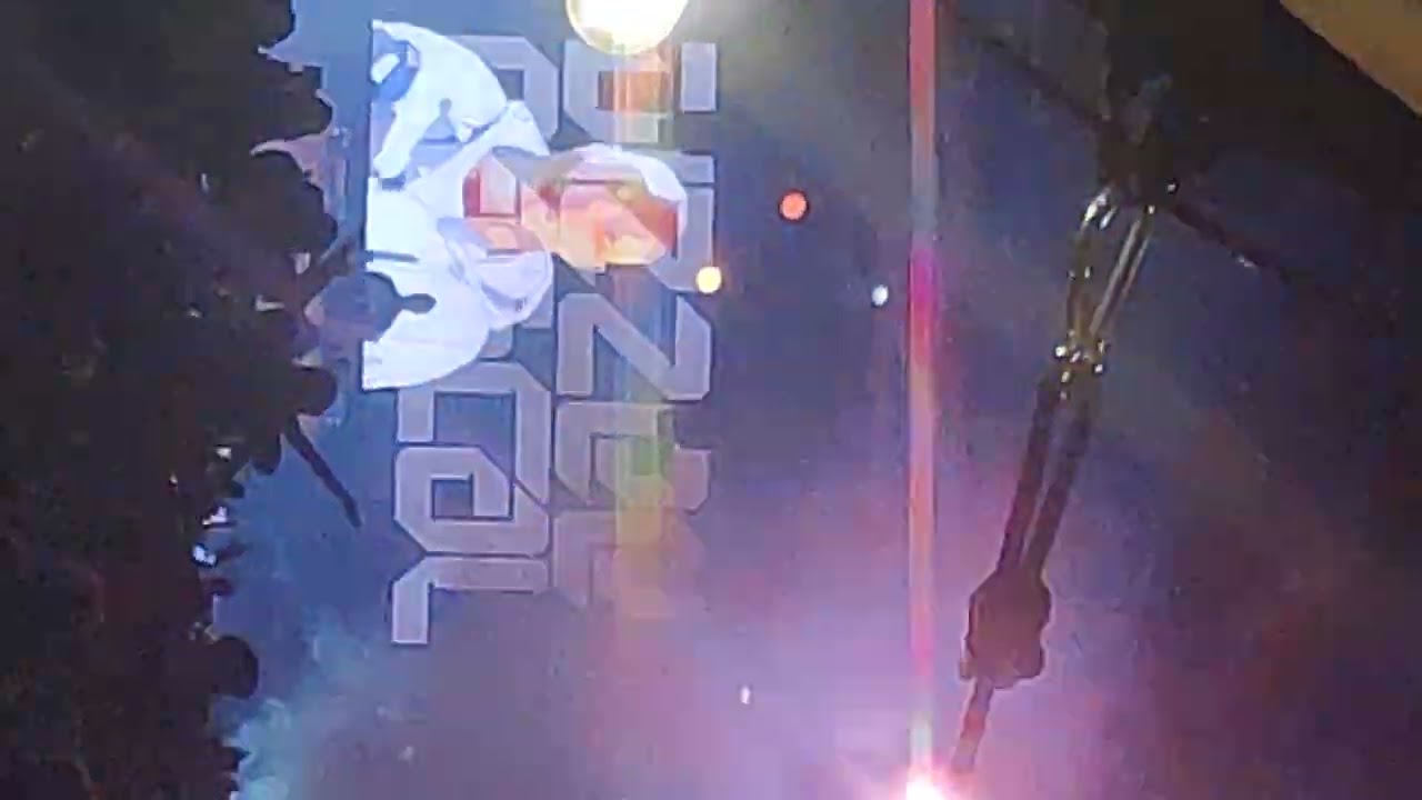 THE WILD GARDENS-DIZZEEE RASCAL