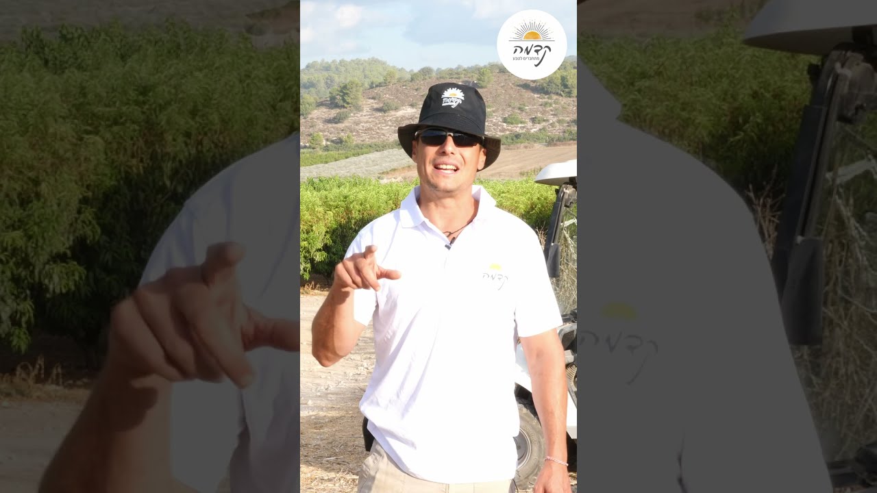 מועצה איזורית אלונה