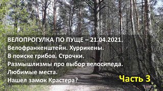 Велопрогулка по Пуще. 21.04.2021 - Часть 3.