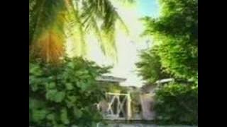 Baha Men - Who let the dogs out