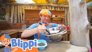 Blippi - Nature & Boats | Learning Videos For Kids | Education Show For Toddlers