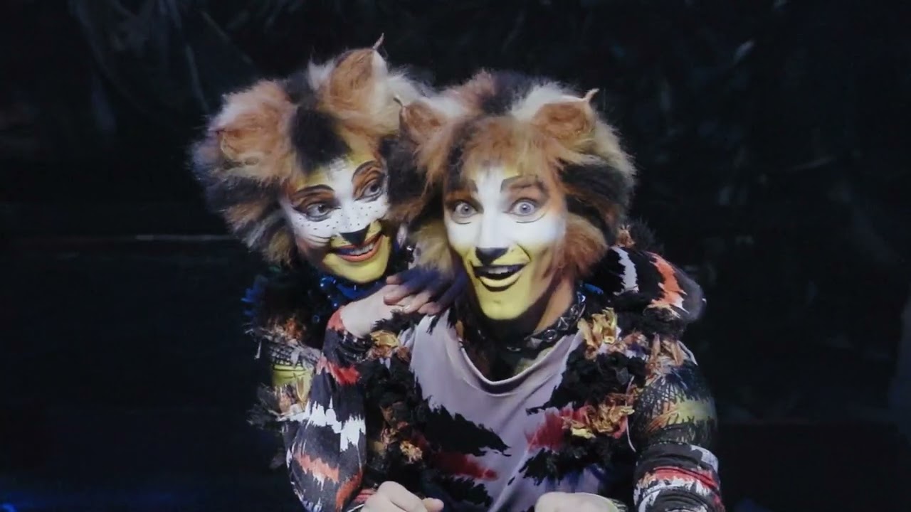 Visão  Musical Cats, em Lisboa e no Porto: A tribo Jellicle está de volta