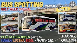 TIAONG, QUEZON BUS SPOTTING PART 3 | March 2024 | Holy Week Special  | Buses back to Manila & Bicol