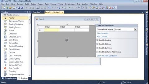 Basic DataGridView C#