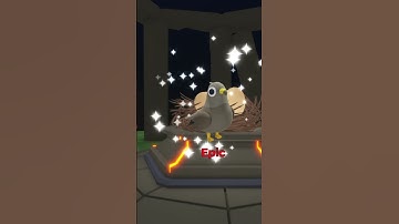 All working Roblox Flappy Bird Race codes (August 2024) #roblox #gaming  #robloxcodes